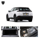 Car (4)