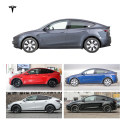 Model Y (6)