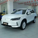 白色 (1)
